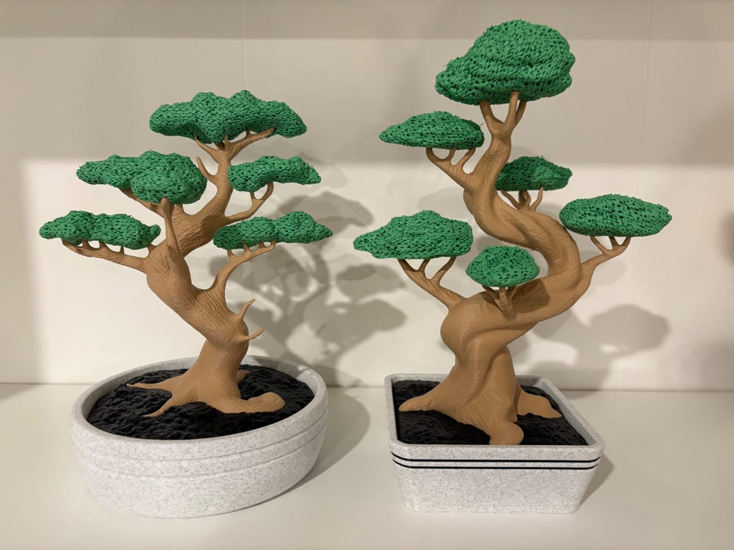🌿 Bonsái Delgi – Equilibrio, arte y color en tu espacio