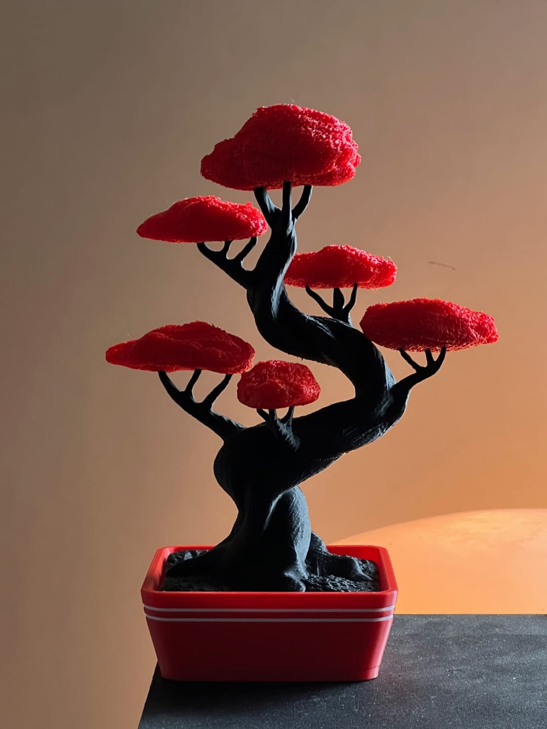 🌿 Bonsái Delgi – Equilibrio, arte y color en tu espacio