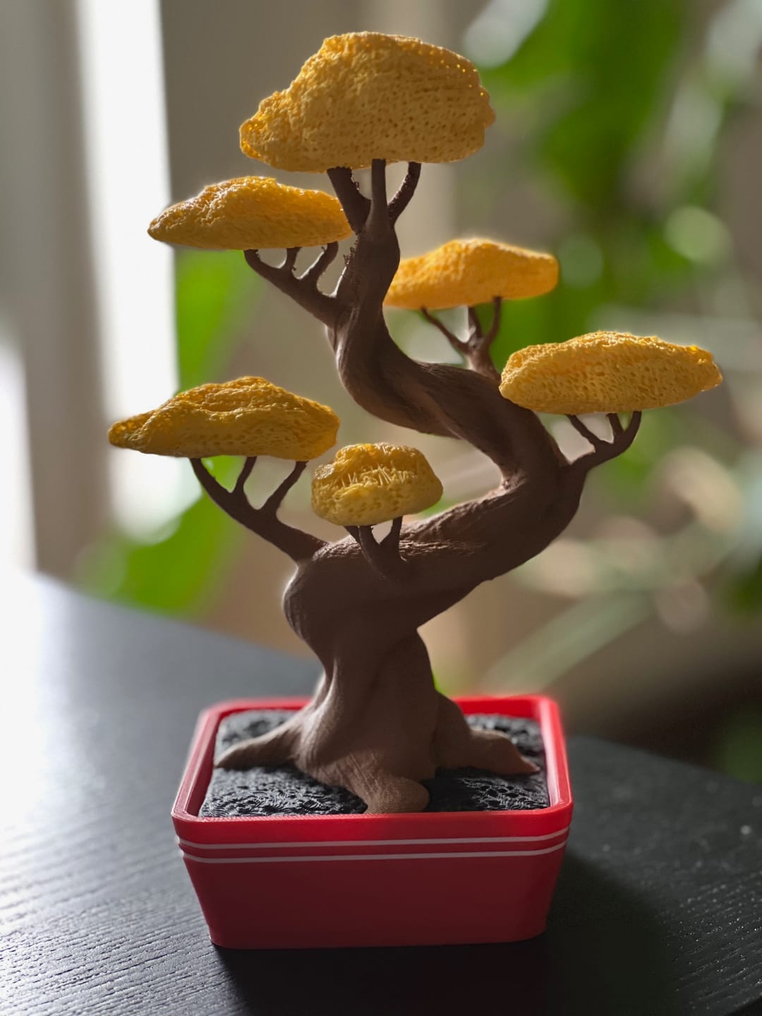 🌿 Bonsái Delgi – Equilibrio, arte y color en tu espacio
